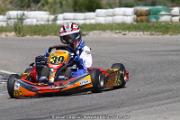 20110501_ales_agnus (3381)